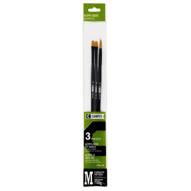 Campus Acrylic Brush Set by Raphael Acrylic Brush Art Nebula