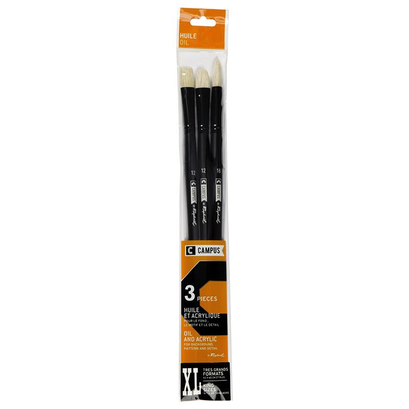 Campus Oil Brush Set by Raphael Oil Painting Brush Art Nebula