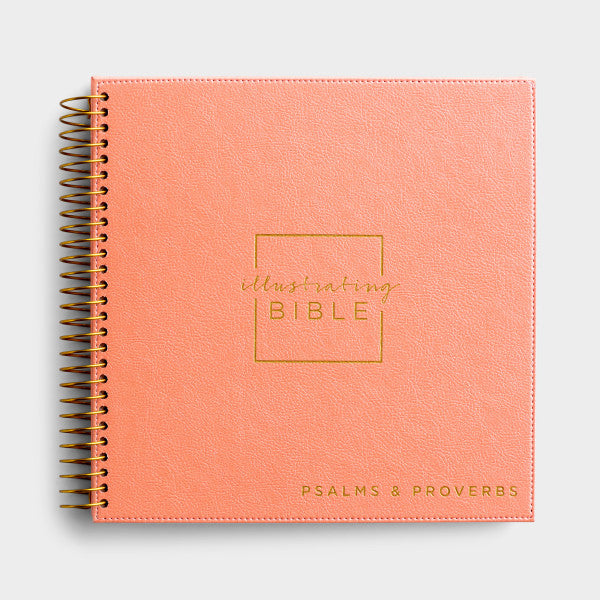 Illustrating Bible - NIV – Books of Psalms & Proverbs Bible Journal Art Nebula