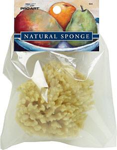 Pro Art Natural Sponge Mixing Palettes & Sponges Art Nebula