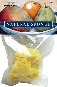 Pro Art Natural Sponge Mixing Palettes & Sponges Art Nebula