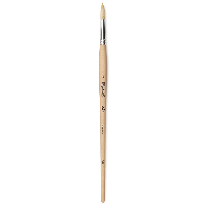 Raphael 362 Oleo White Hog - Round Brush Oil Painting Brush Art Nebula